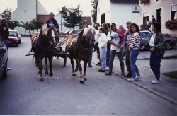 1992 - TT - Kutschfahrt Lay nach Häusern (3)